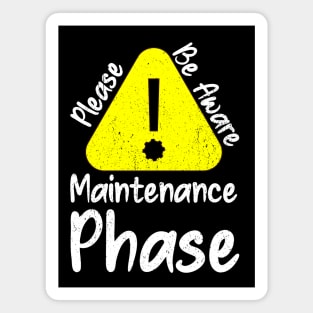 Please be aware maintenance phase Magnet